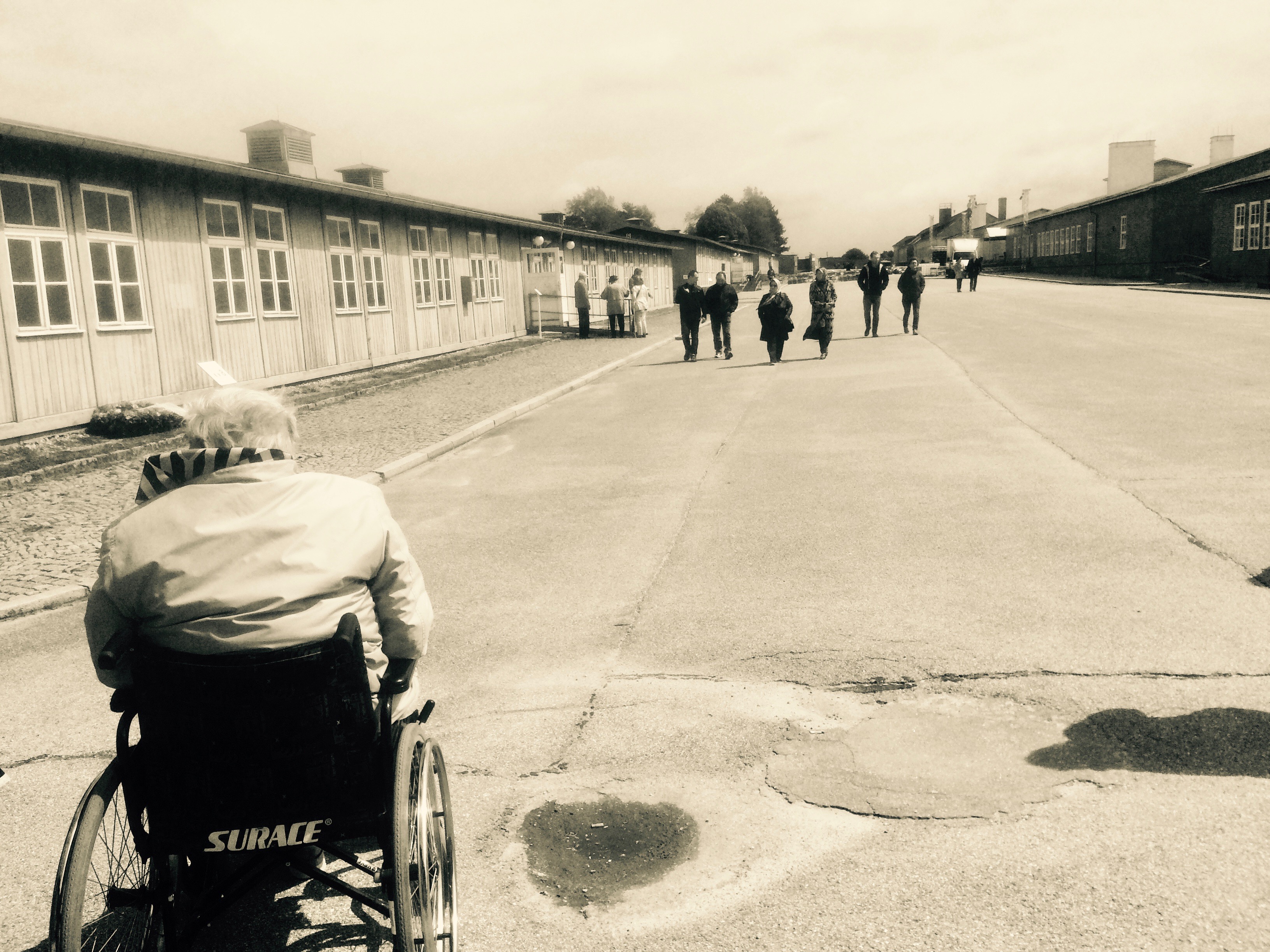 Giornata della Memoria: "Dimenticati"