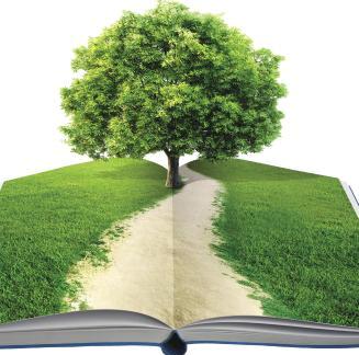 Sabato a tutto green. 