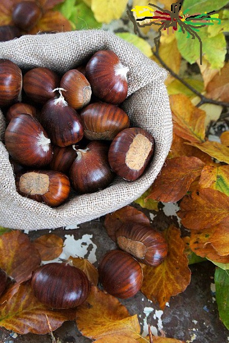 XXXII Festa della Castagna: la manifestazione è annullata a causa delle previsioni meteo avverse.