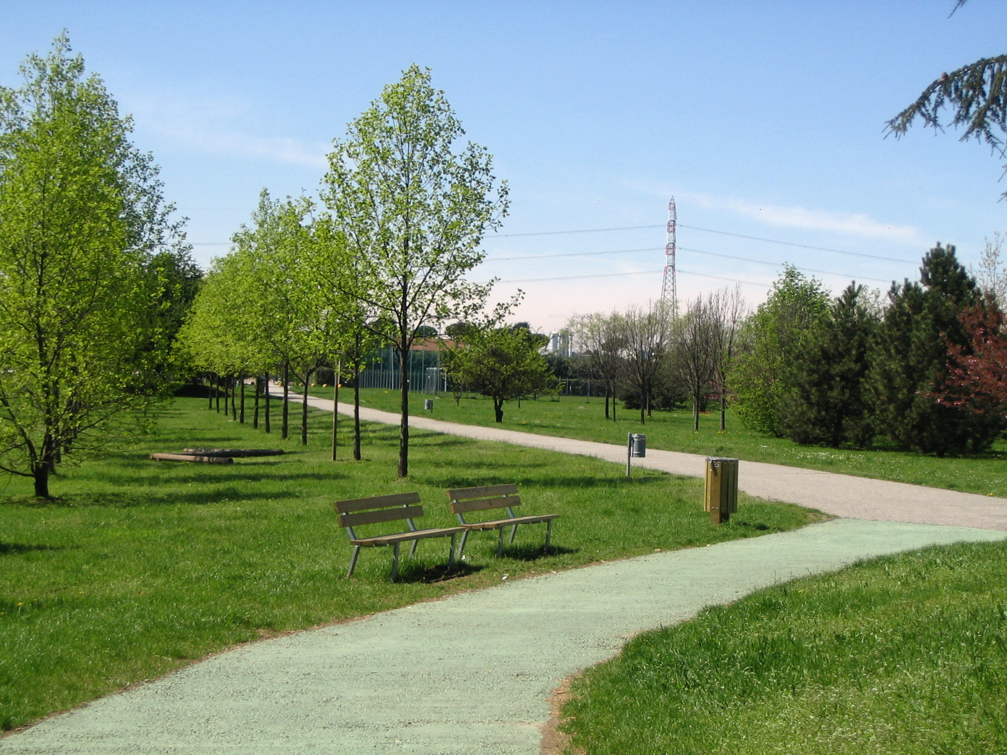 Interventi sugli alberi in via Alfonso Casati e nel Parco del Grugnotorto.