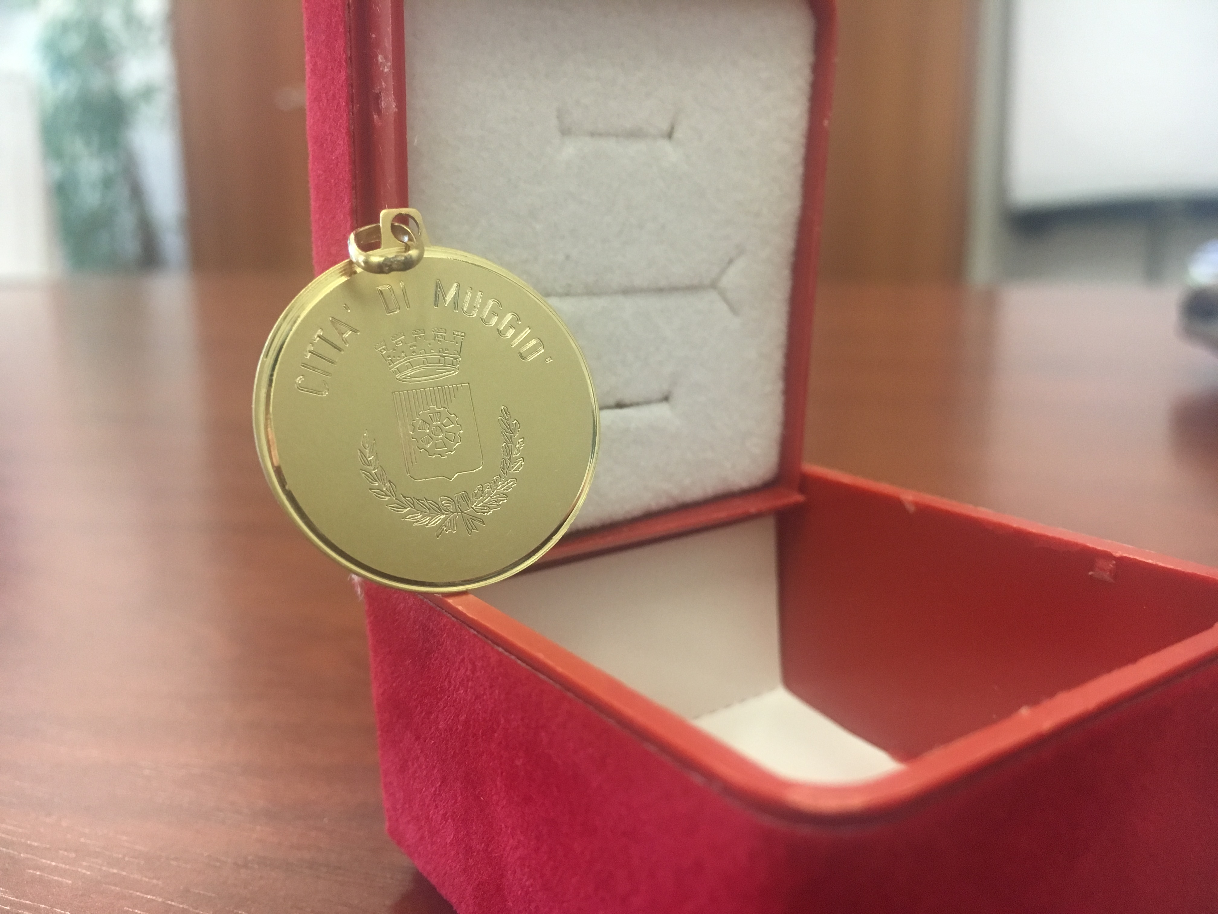 Benemerenze civiche "Santa Lucia" - Le motivazioni